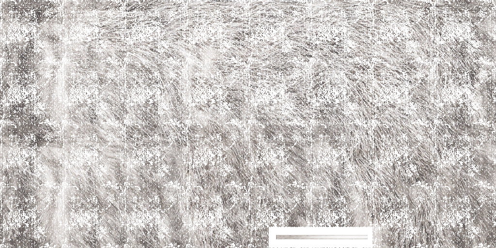 c5369_2.png