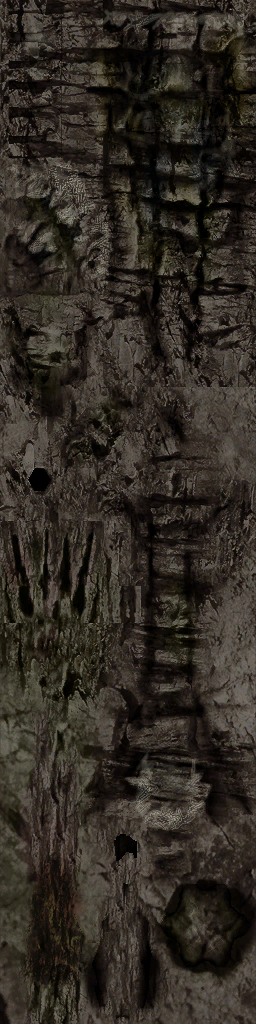c2232_WP_A_0654.png