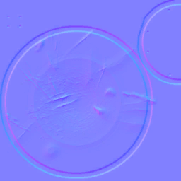 c2560_WP_A_1528_n.png