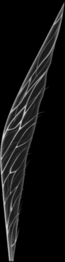 c5230_wing_s.png