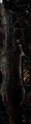 c2793_WP_A_0221_s.png