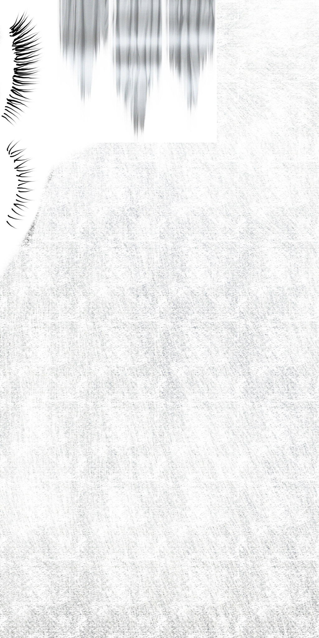 c2730_2.png