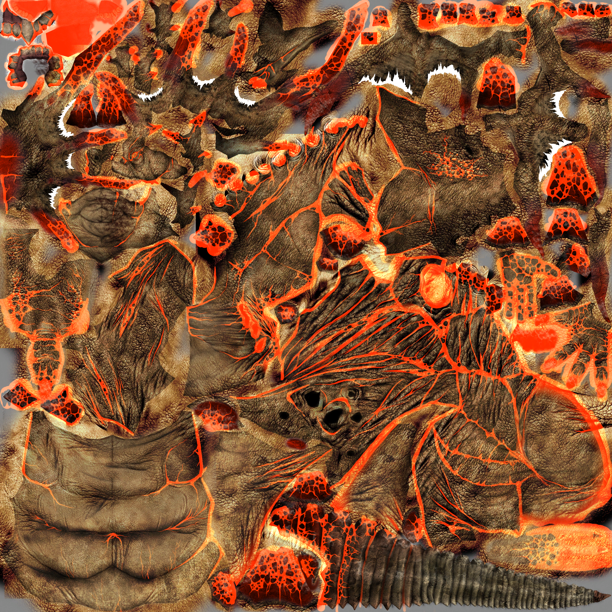 c2231.png