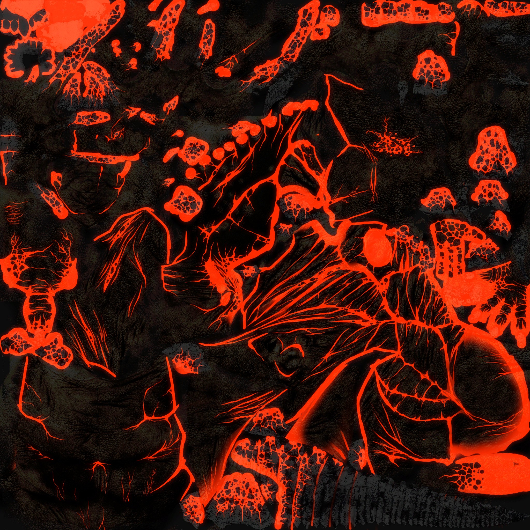 c2231_s.png