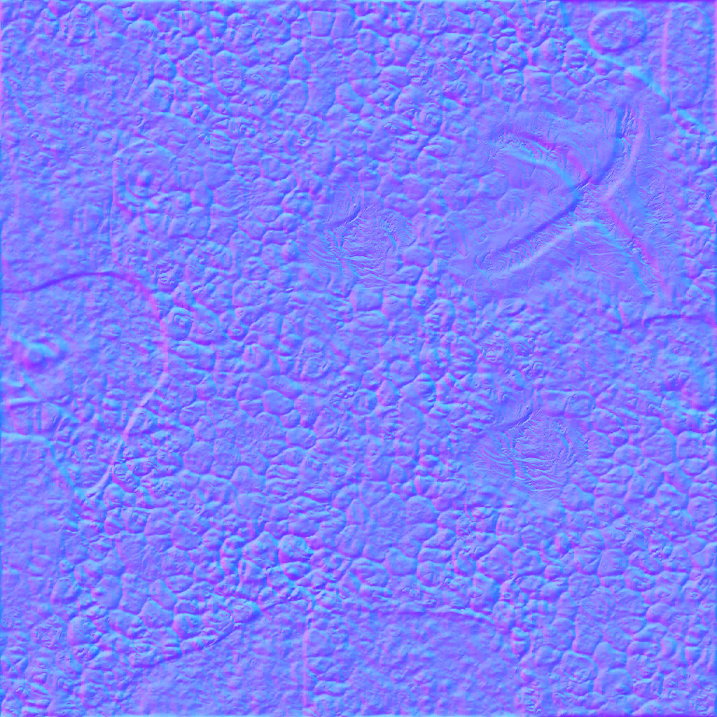 c3210_n.png