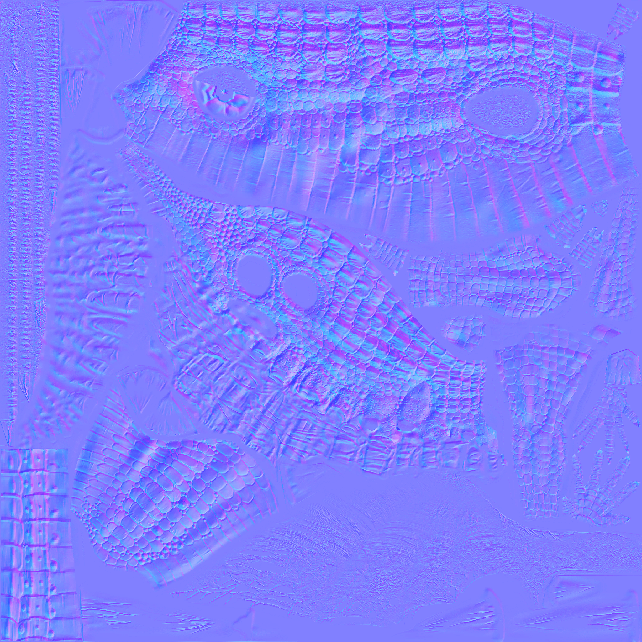 c5260_n.png