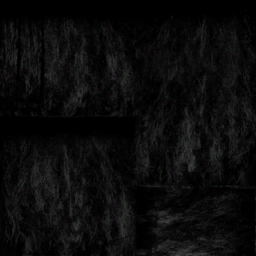 c5370_hair_s.png