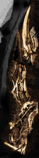 c5320_WP_A_1305_s.png