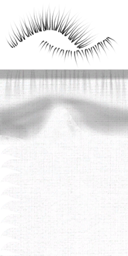 c5310_cloth.png