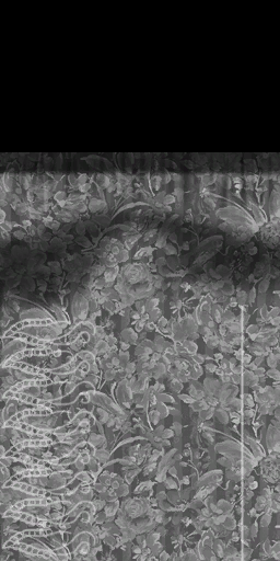 c5310_cloth_s.png