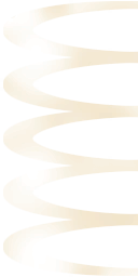 c5310_lace1.png