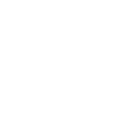 c5310_lace3.png