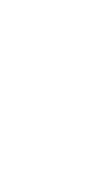 c5310_lace4.png