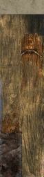 c2500_WP_A_1300.png