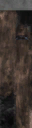 c2500_WP_A_1300_s.png