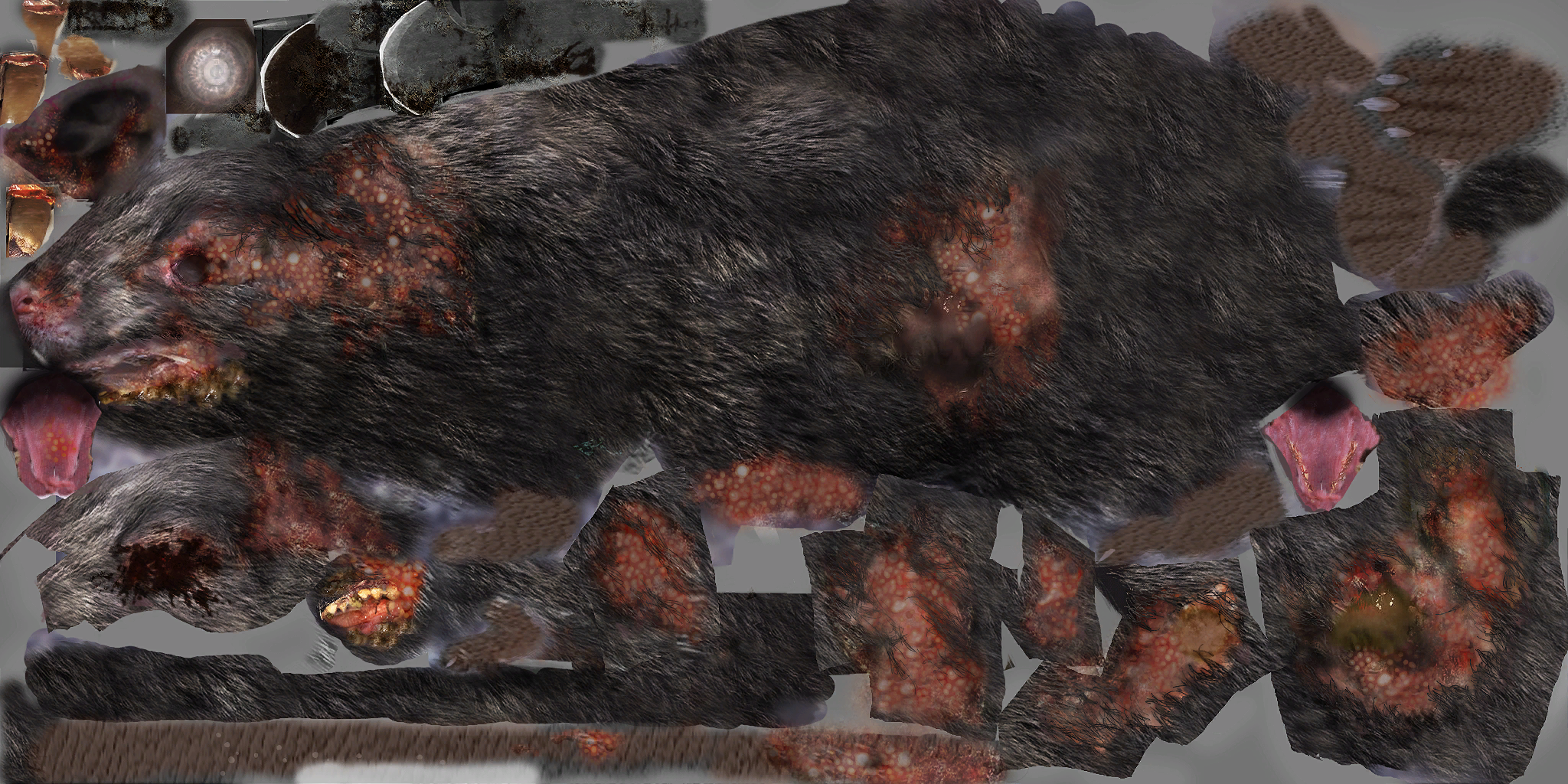 c1202_rat.png