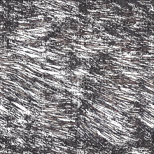 c1202_rat_2.png