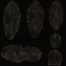 c5351_wing_s.png