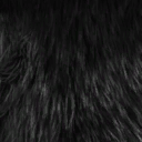 c4110_2_s.png