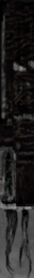 c4110_5_s.png