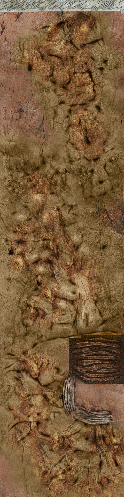 c4110_6.png