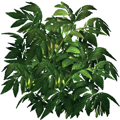 c3350_2.png
