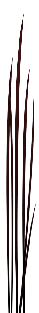c5280_fur.png