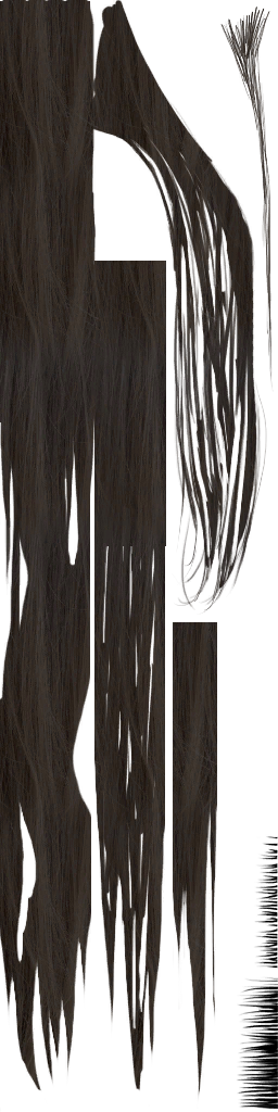 c5280_human_hair.png