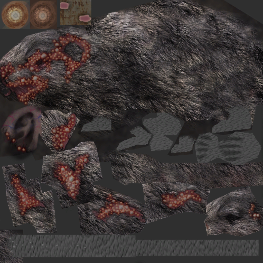 c1200_rat.png