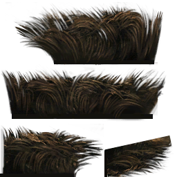 c2870_fur.png
