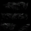c2870_fur_s.png