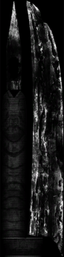 c2690_WP_A_0210_s.png