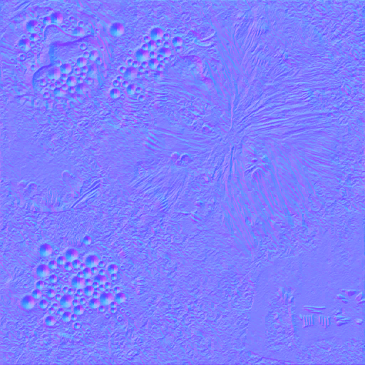 c3200_body_n.png