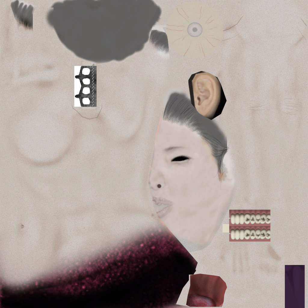 c5340_human_body.png