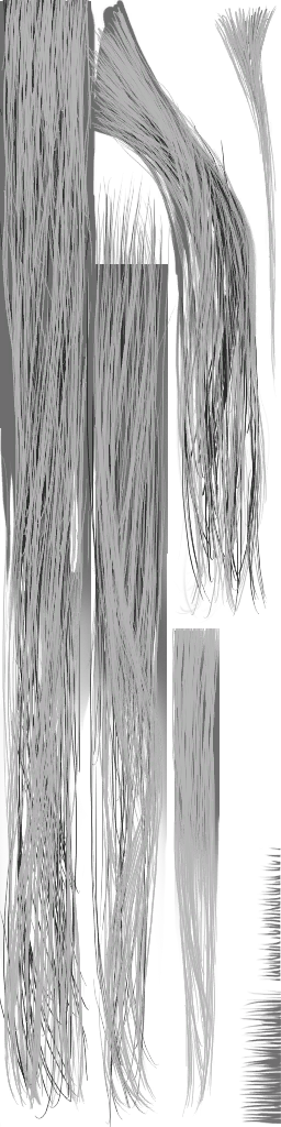 c5340_human_hair.png