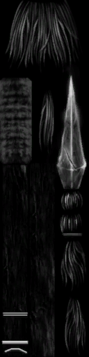 c2550_WP_A_0700_s.png