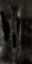 c2920_WP_A_0605_s.png