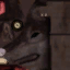 c4520_1_s.png