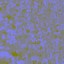 c2140_horn_curse_color_n_l.jpg
