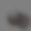 c3251_TreeColor_a_l.jpg