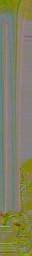 c3300_WP_A_0217_n_l.jpg