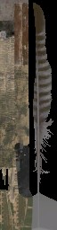 c3450_WP_A_1405_a_l.jpg