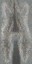 c4120_Fur_Color_a_l.jpg