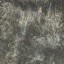 c4165_fur_color_a_l.jpg