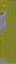 c4300_WP_A_1310_n_l.jpg