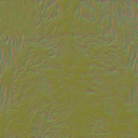 c3050_FurColor_n_l.png