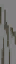 c3251_Shield_branch_Color_a_l.png