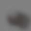 c3251_TreeColor_a_l.png