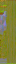 c4300_WP_A_1310_n_l.png