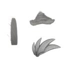 c4750_c4500_Feather_3_a_l.png